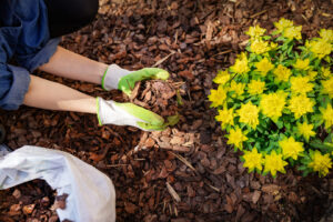 When Should You Mulch Your Garden? lehnhoff's supply