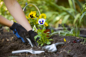 Topsoil 101: What is it and Why is it Important? lehnhoff's supply